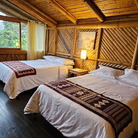 Golden Tree Mindo Eco-Lodge ภายนอก รูปภาพ