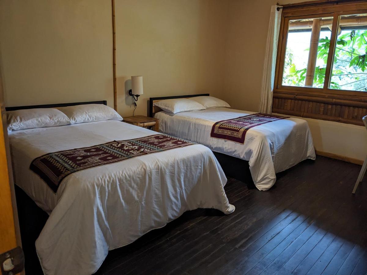 Golden Tree Mindo Eco-Lodge ภายนอก รูปภาพ