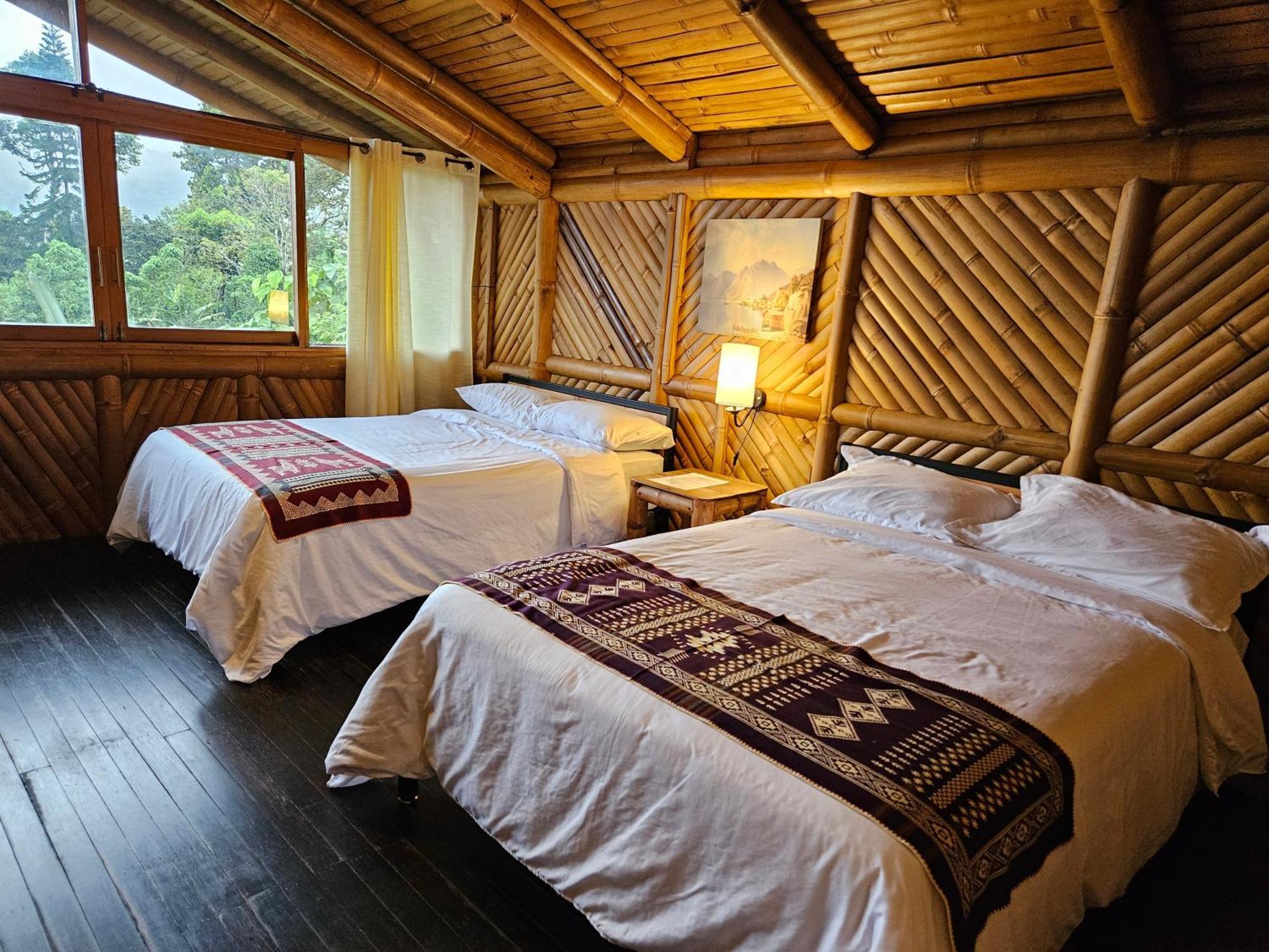 Golden Tree Mindo Eco-Lodge ภายนอก รูปภาพ