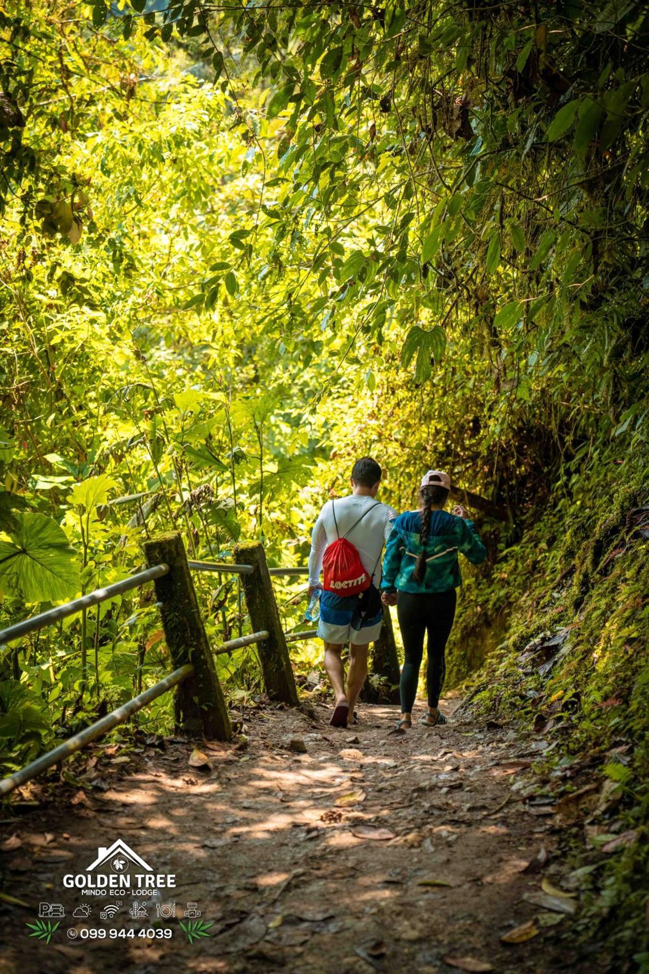 Golden Tree Mindo Eco-Lodge ภายนอก รูปภาพ